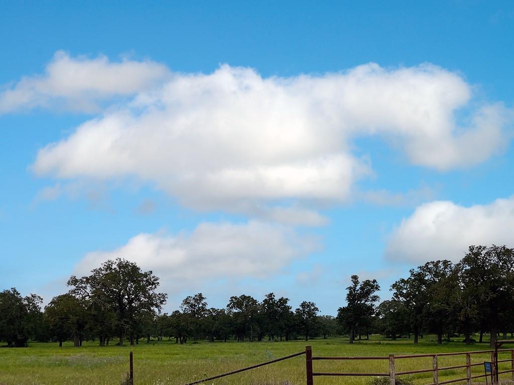 2231  Greens Creek Rd, Ledbetter, TX 78946 — photo 1