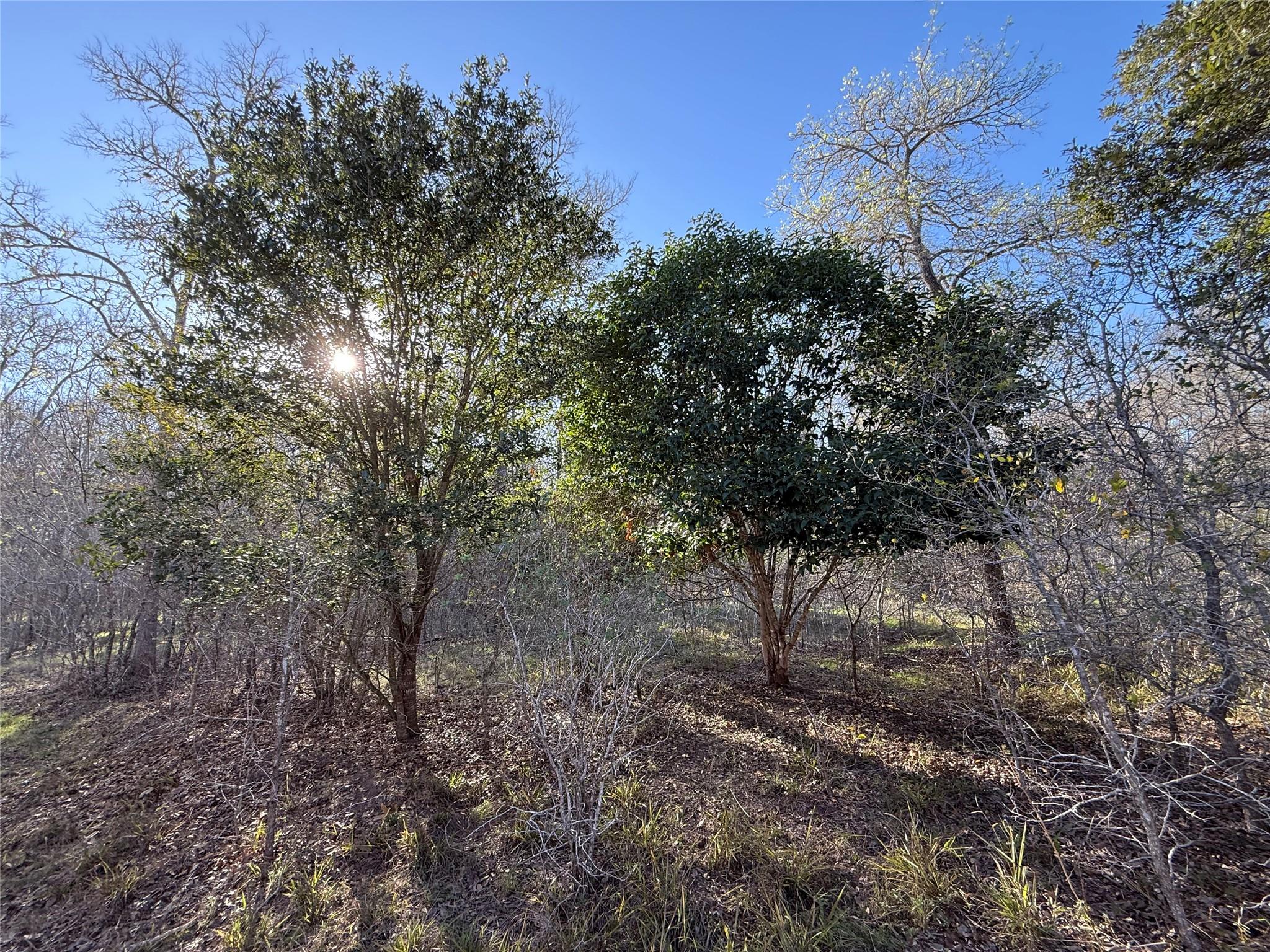 0 Country Club Dr, Seguin, TX 78155 — photo 1