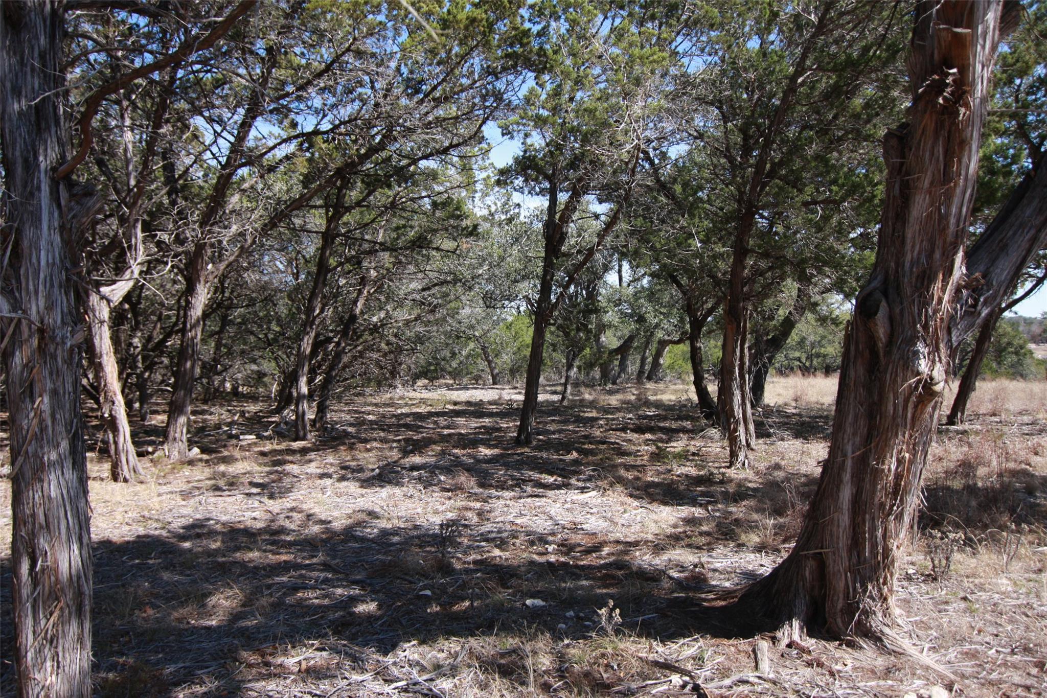 150 Patricks Way, Dripping Springs, TX 78620 — photo 1