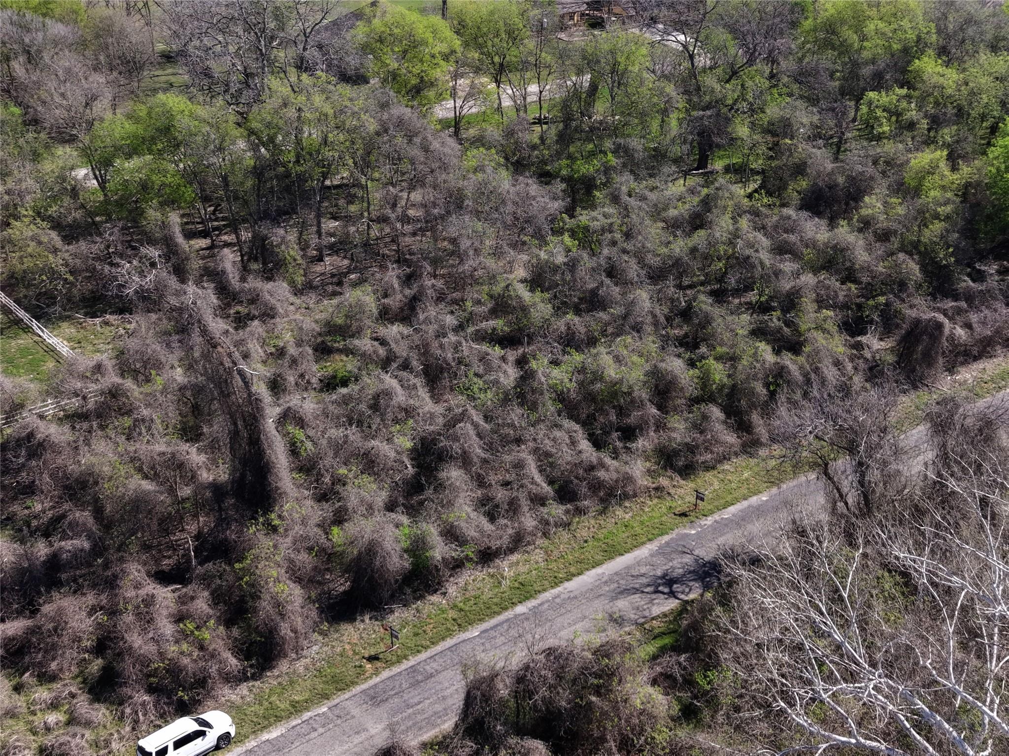 450  Riverside Dr, Bastrop, TX 78602 — photo 1