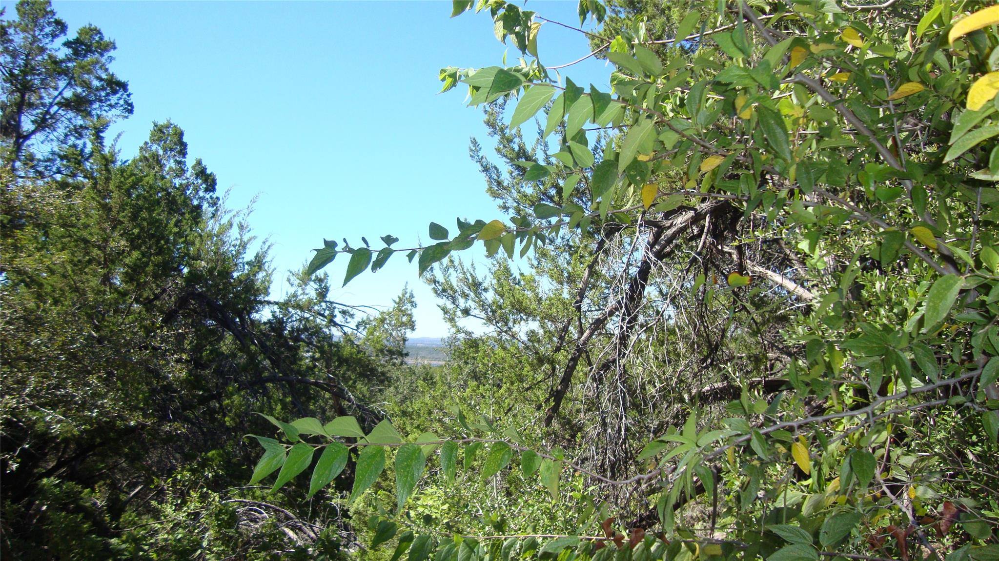 20804 Bonanza St, Lago Vista, TX 78645 — photo 1