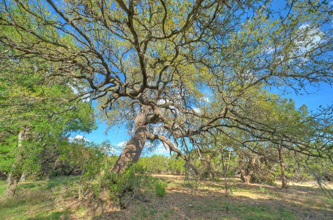 Star Gazer Lot 8  Stargazer Dr, Lampasas, TX 76550 — photo 1