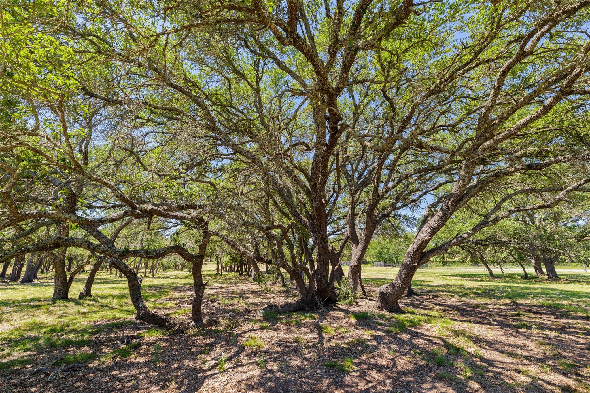 937 Flat Creek Rd, Johnson City, TX 78636 — photo 1