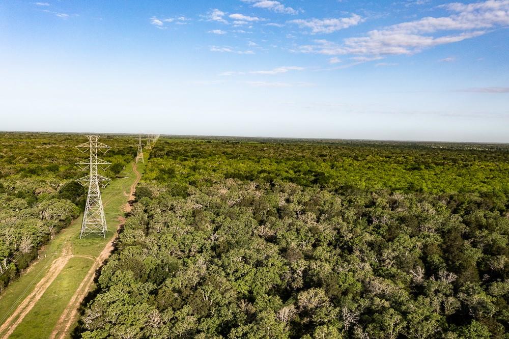 TBD  Anchor Ranch Lp Loop, Cistern, TX 78941 — photo 1