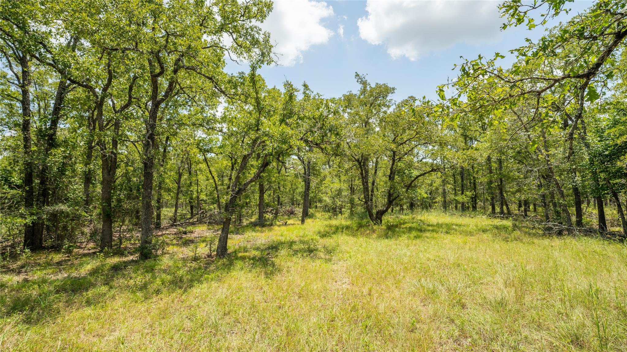 418-G  County Road 405 None, Buckholts, TX 76518 — photo 1