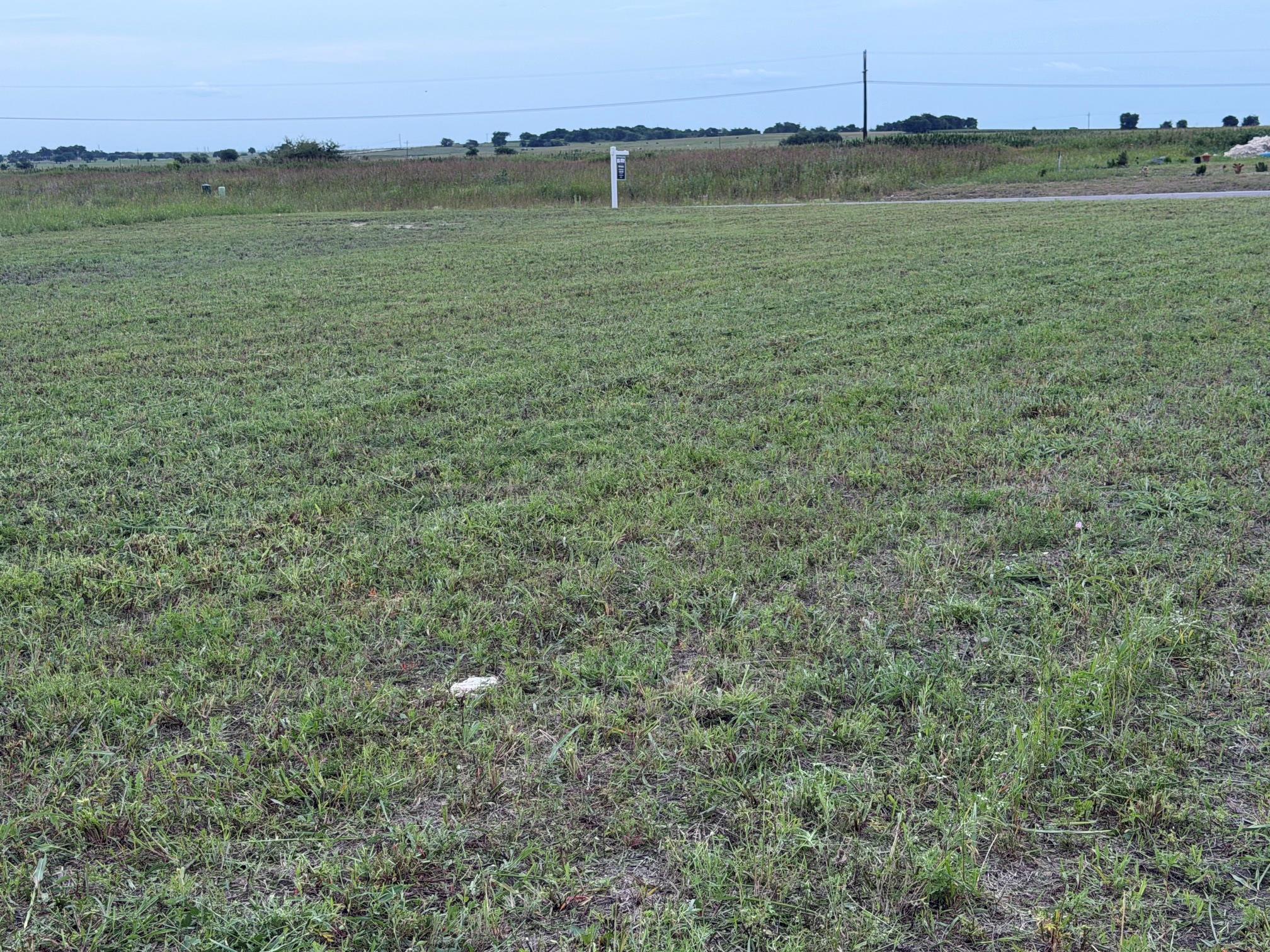 1178  Saltgrass Dr, Salado, TX 76571 — photo 1