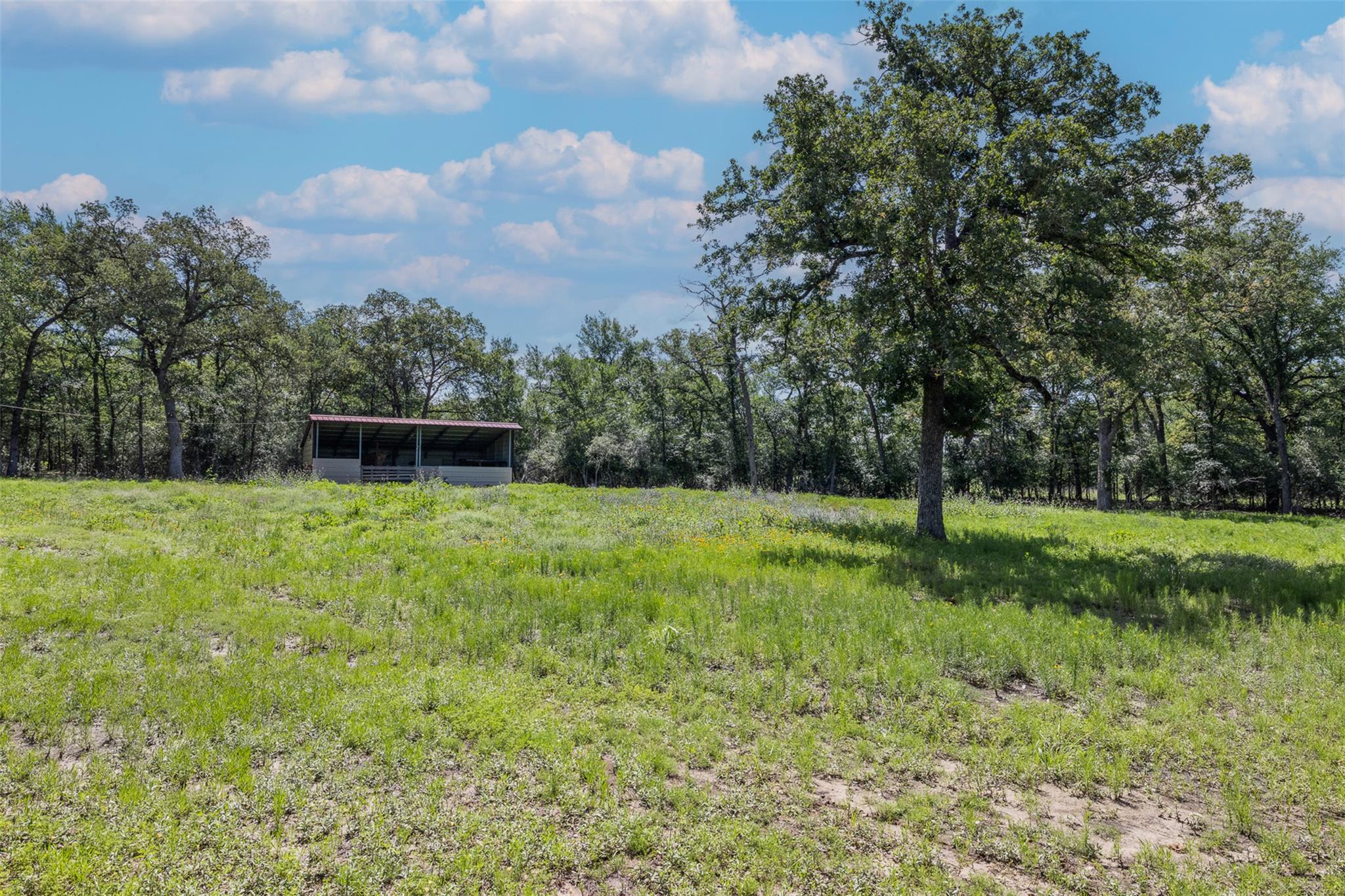 7132  Serenity Ranch Rd, Somerville, TX 77879 — photo 1