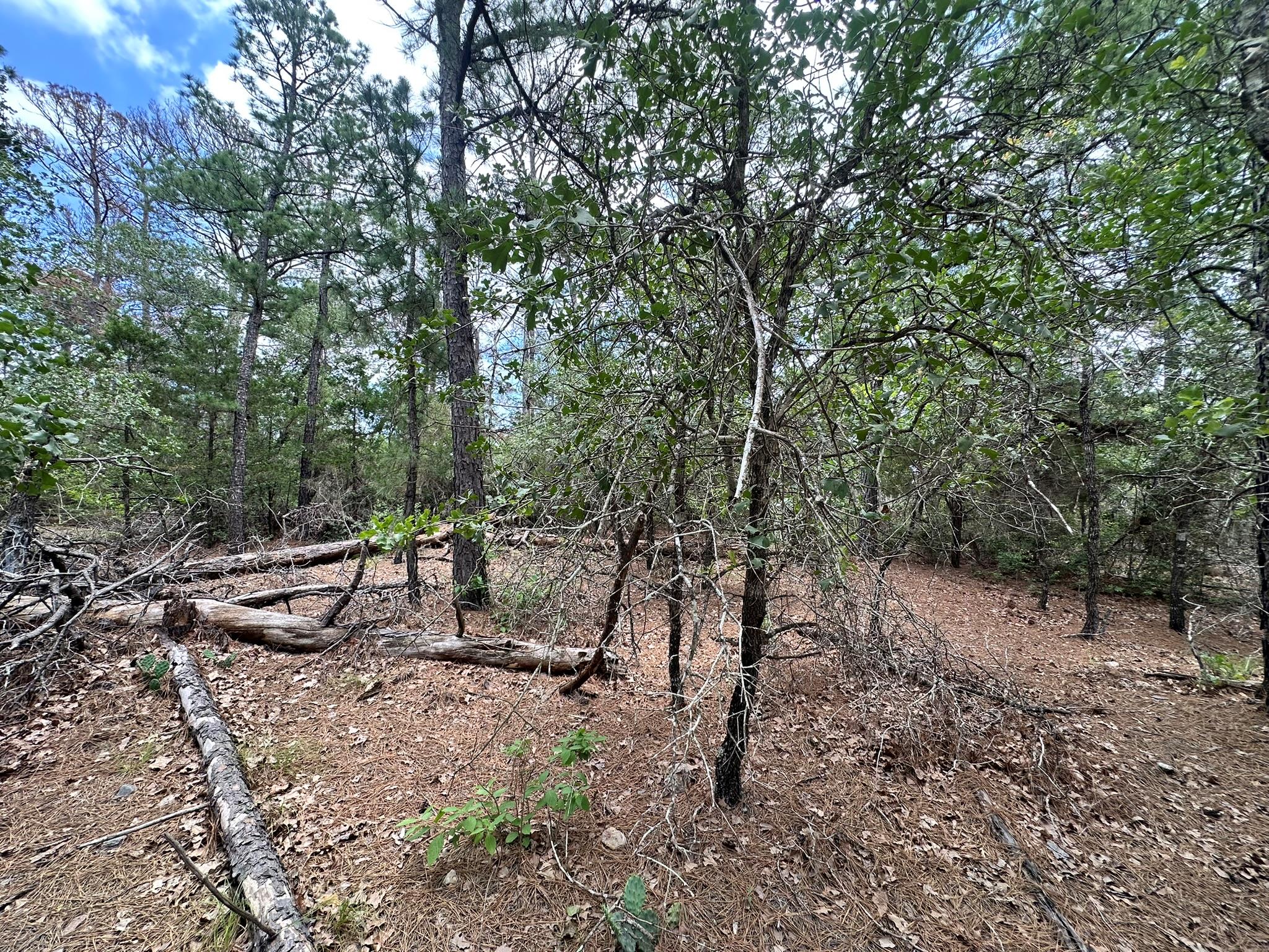 217  Helemano Dr, Bastrop, TX 78602 — photo 1