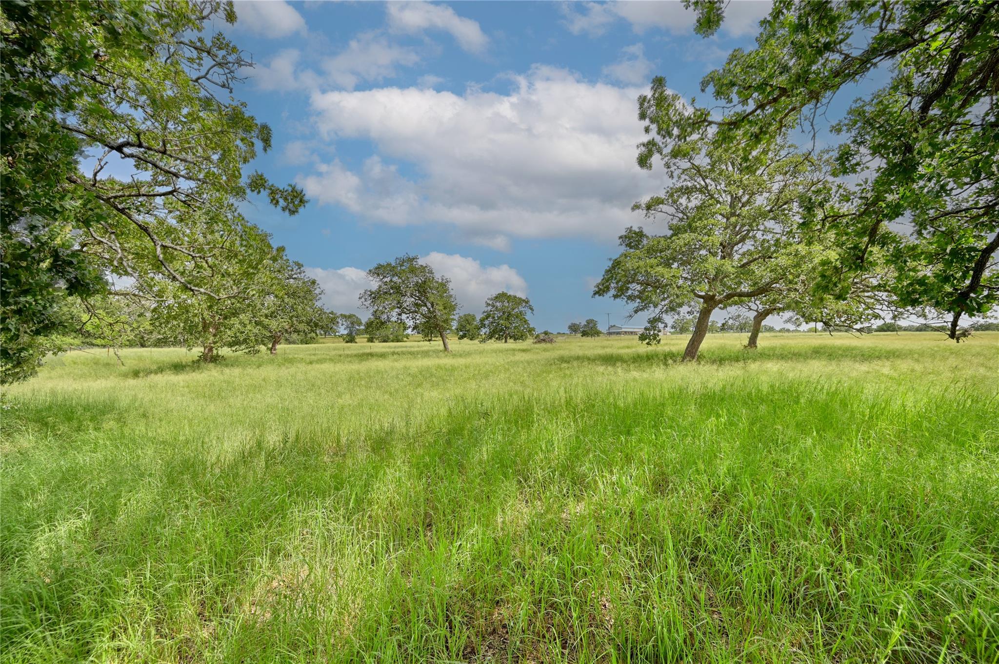 106 Sunny Day Dr None, Red Rock, TX 78662 — photo 1