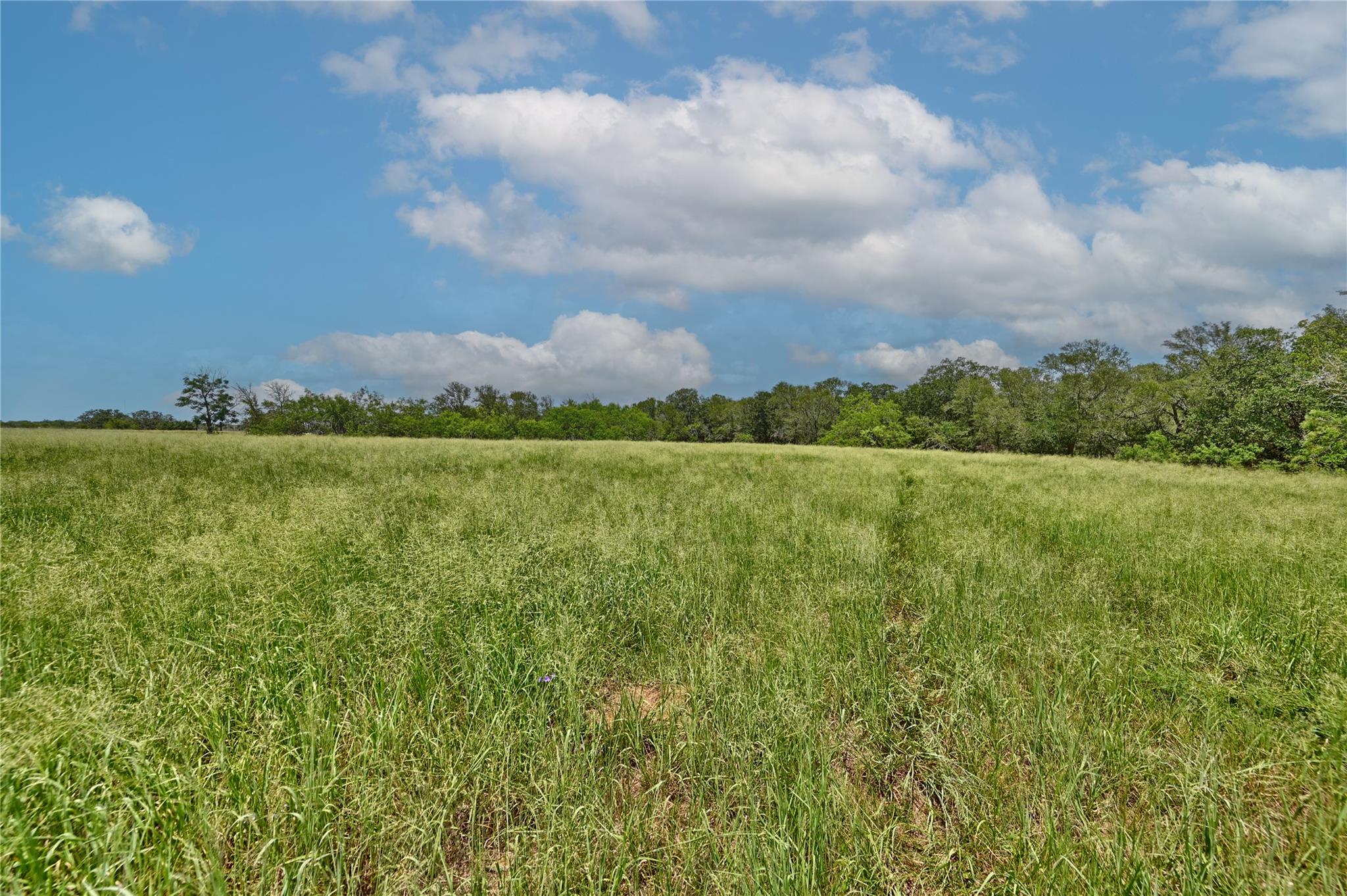 166 Sunny Day Dr None, Red Rock, TX 78662 — photo 1