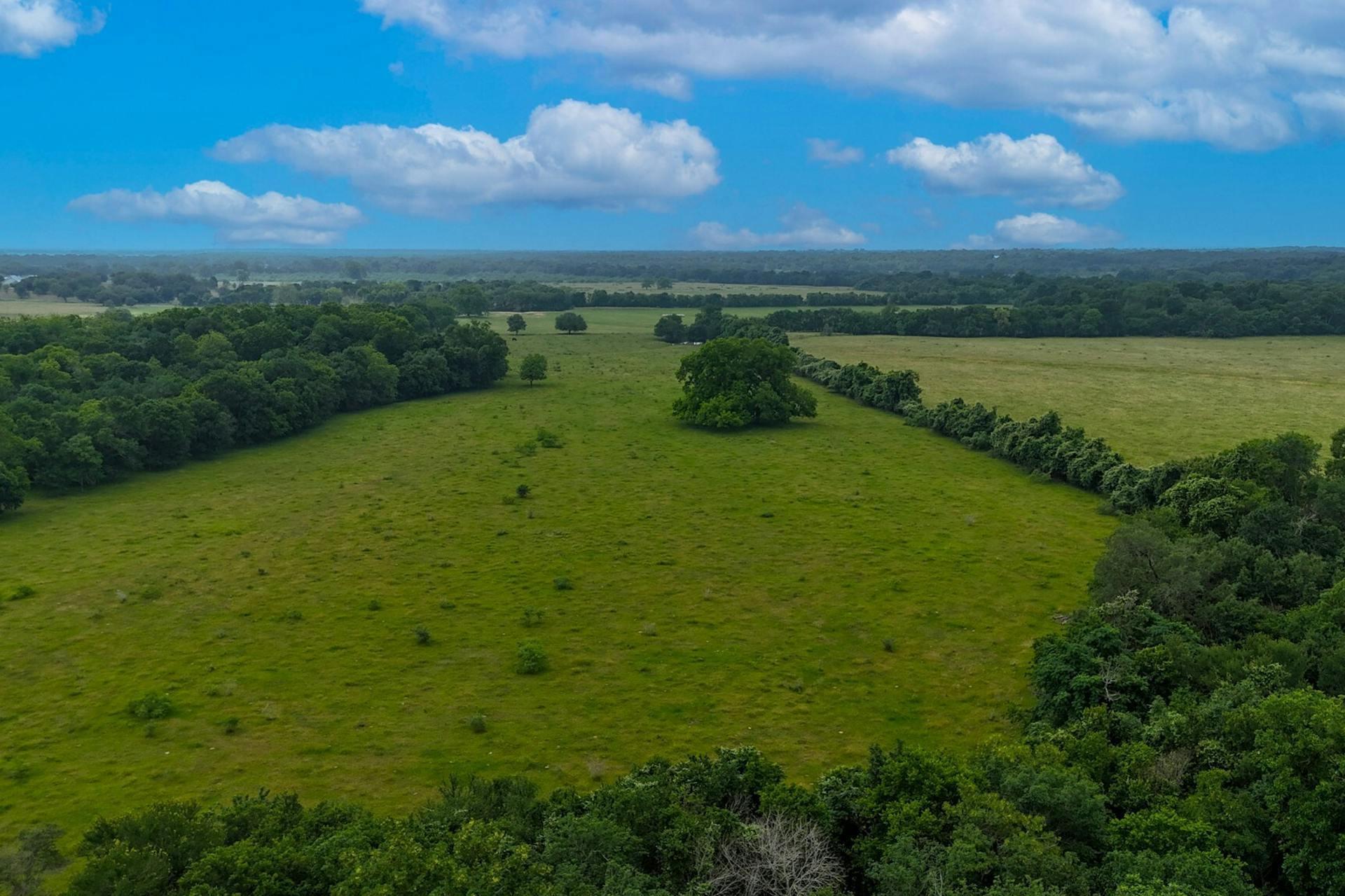 645  Jerrys Crk, Lockhart, TX 78644 — photo 1