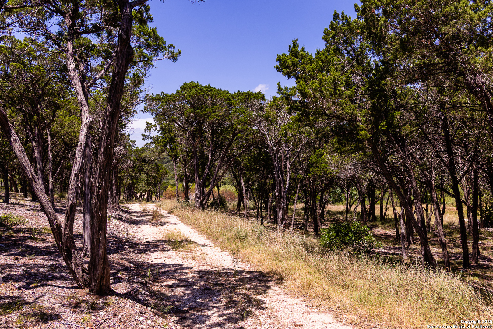 TBD Pr 177, Helotes, TX 78023 — photo 1