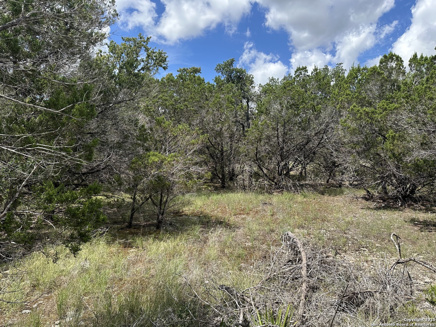7131 Rebecca Creek, Spring Branch, TX 78070 — photo 1