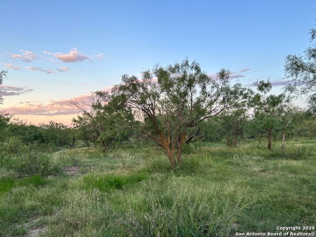 587 Valley Rd, Eldorado, TX 76936 — photo 1