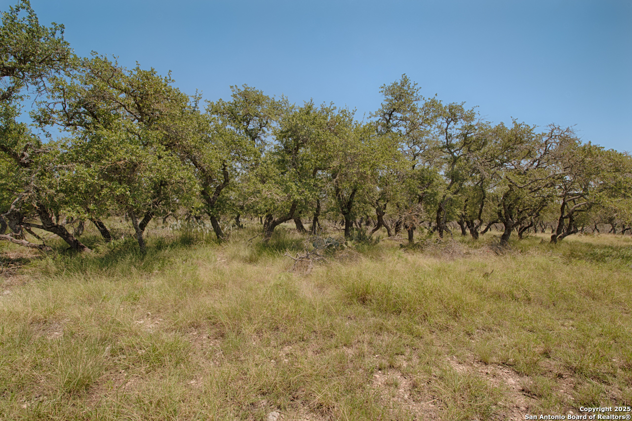 379 Bent Tree, Harper, TX 78631 — photo 1