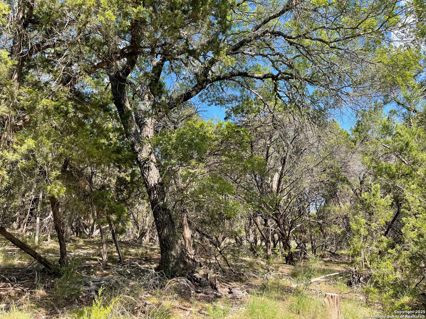 LOTS 1-7 PARK ROAD 37, Lakehills, TX 78063 — photo 1