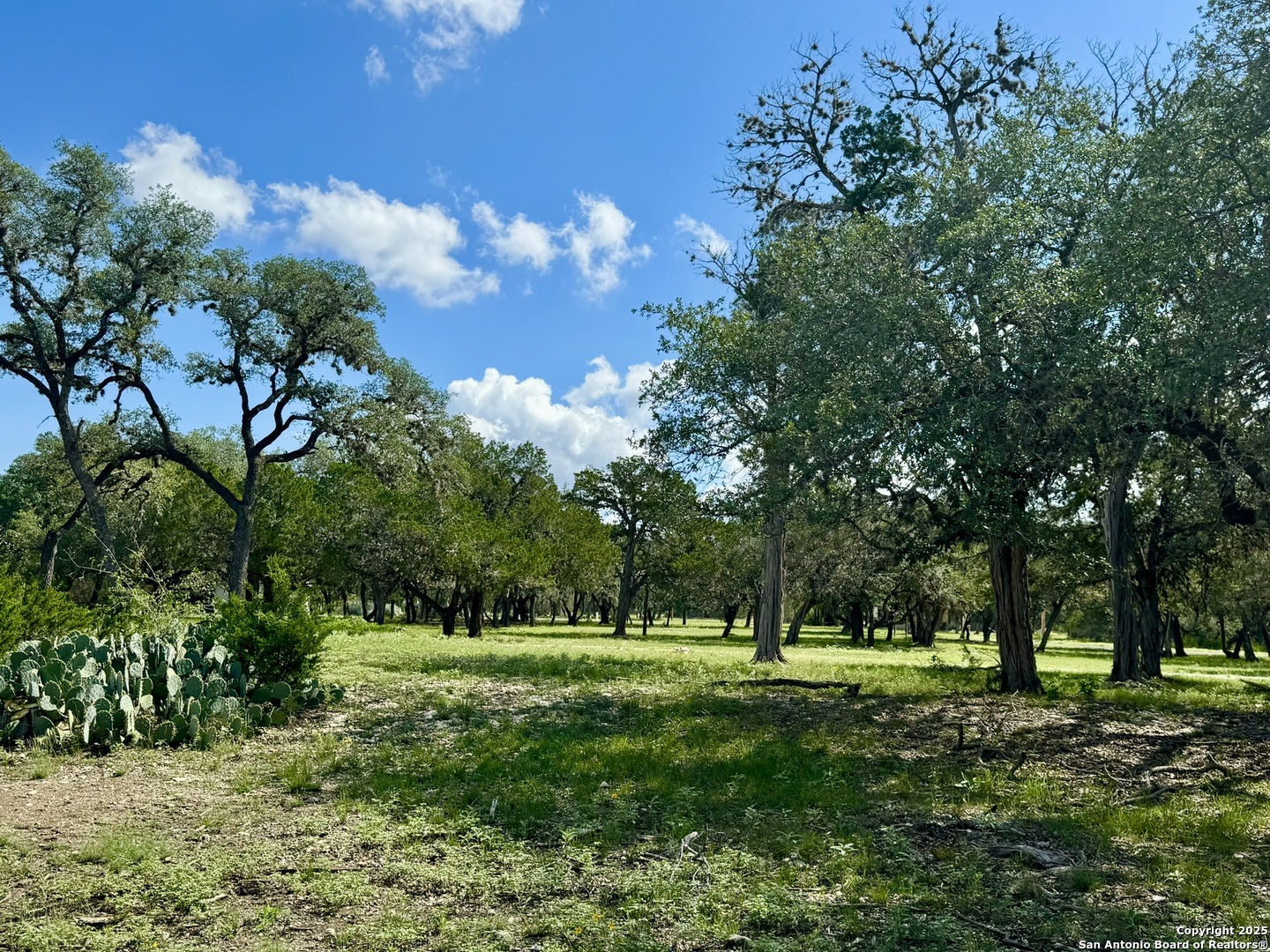 101 PATTERSON DR, Leakey, TX 78873 — photo 1
