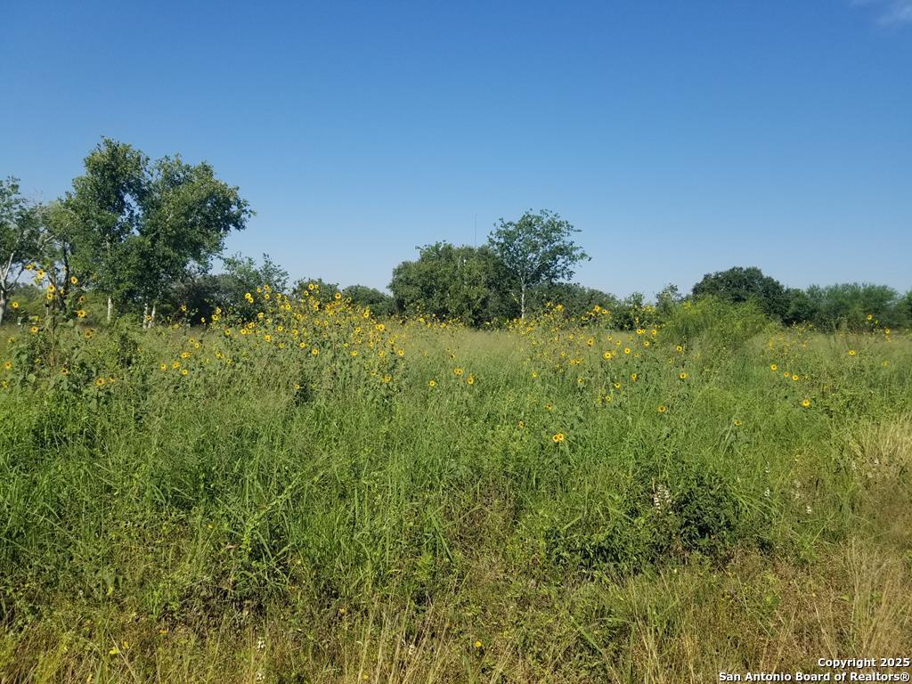 00 W Fm 673, Beeville,  78102 — photo 1