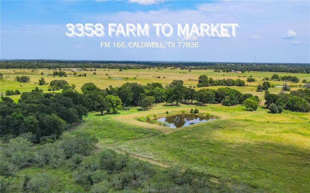 TBD  FM 166 (+/-54 acres) None, Caldwell, TX 77836 — photo 1