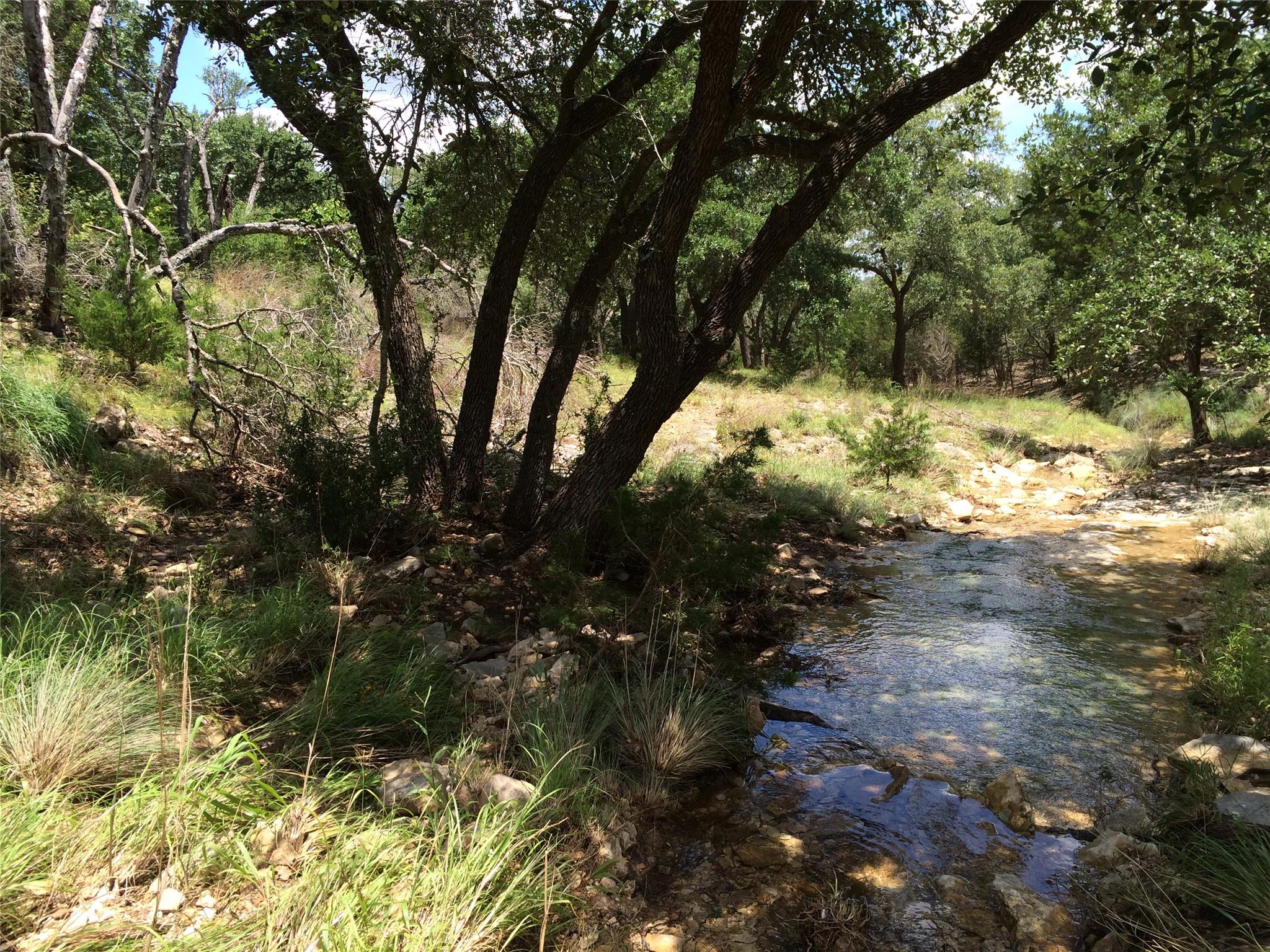 934  Beauchamp Rd, Dripping Springs, TX 78620 — photo 1