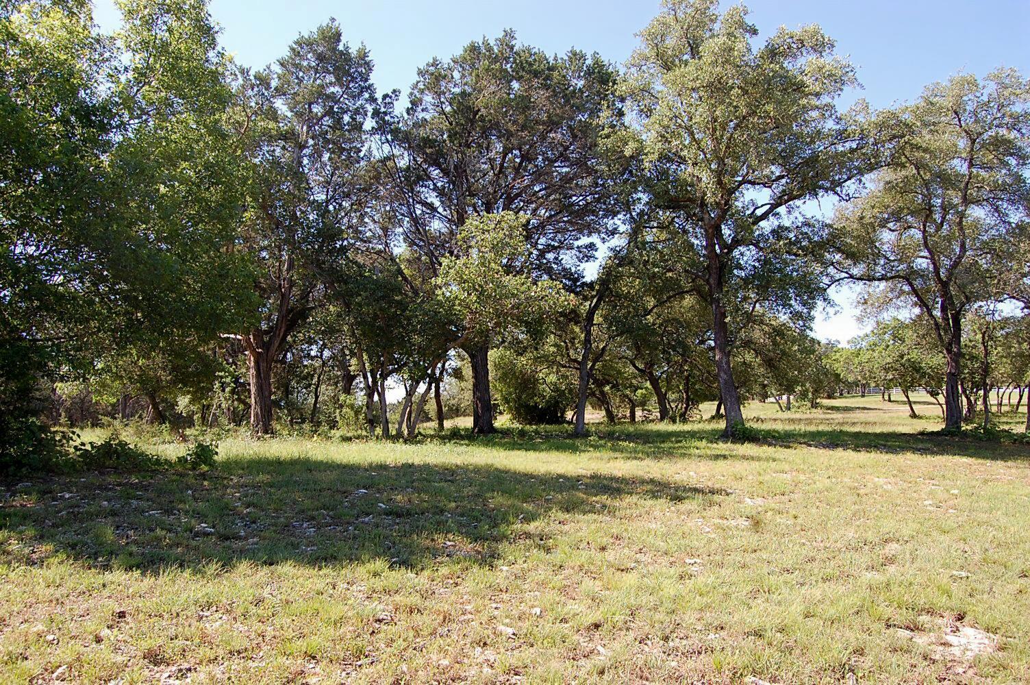 0 Rio Gabriel None, Liberty Hill, TX 78642 — photo 1