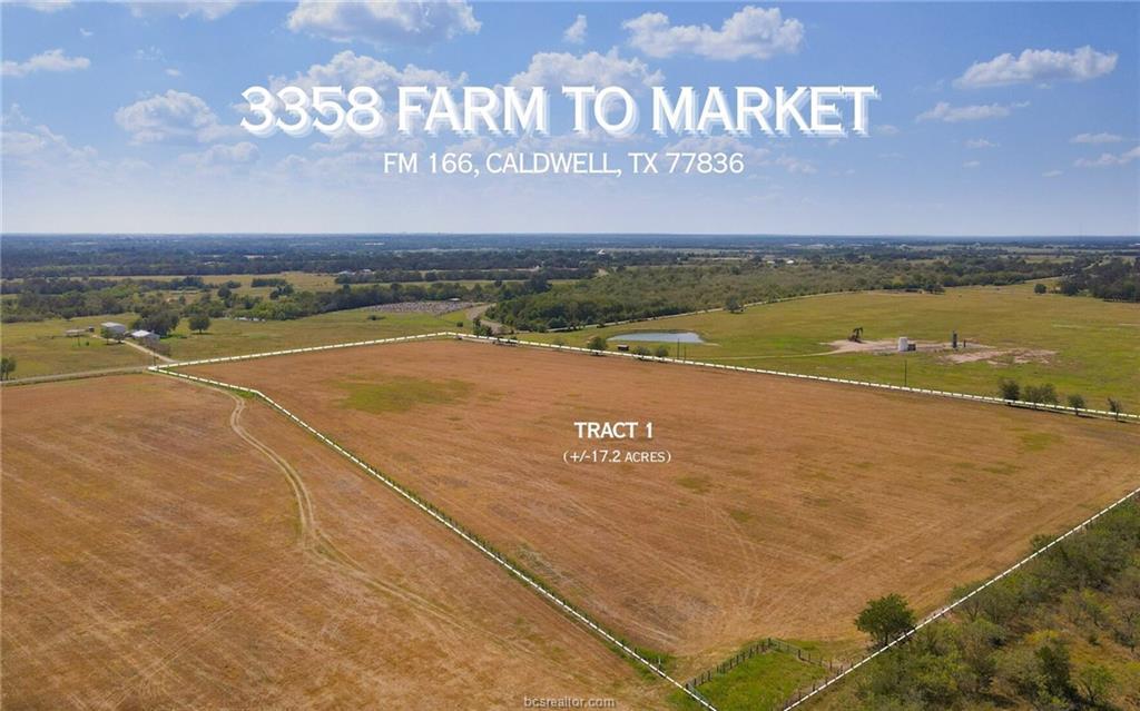 TBD  FM 166 (+/-17.2 acres) None, Caldwell, TX 77836 — photo 1