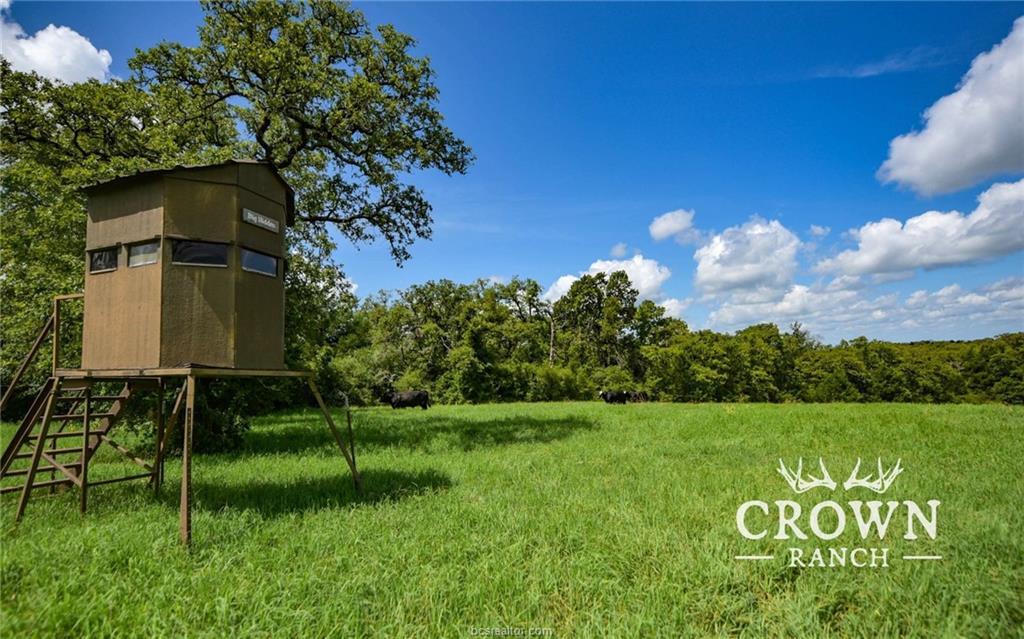 TBD  FM 908 (+/-1,057 acres) None, Caldwell, TX 77836 — photo 1