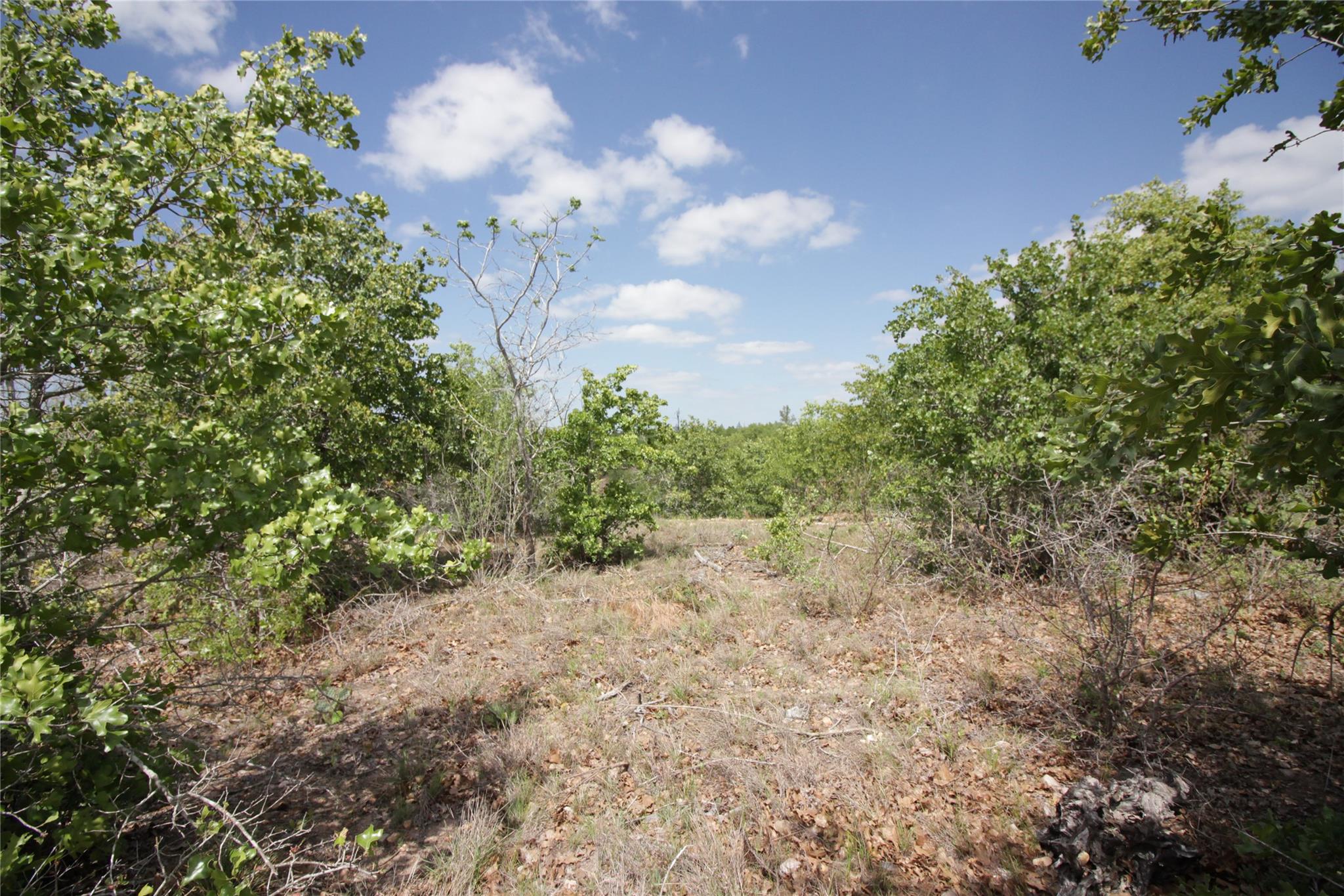 TBD River Forest Dr, Bastrop, TX 78602 — photo 1
