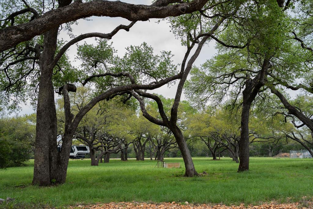 426  Mill Run, New Braunfels, TX 78132 — photo 1
