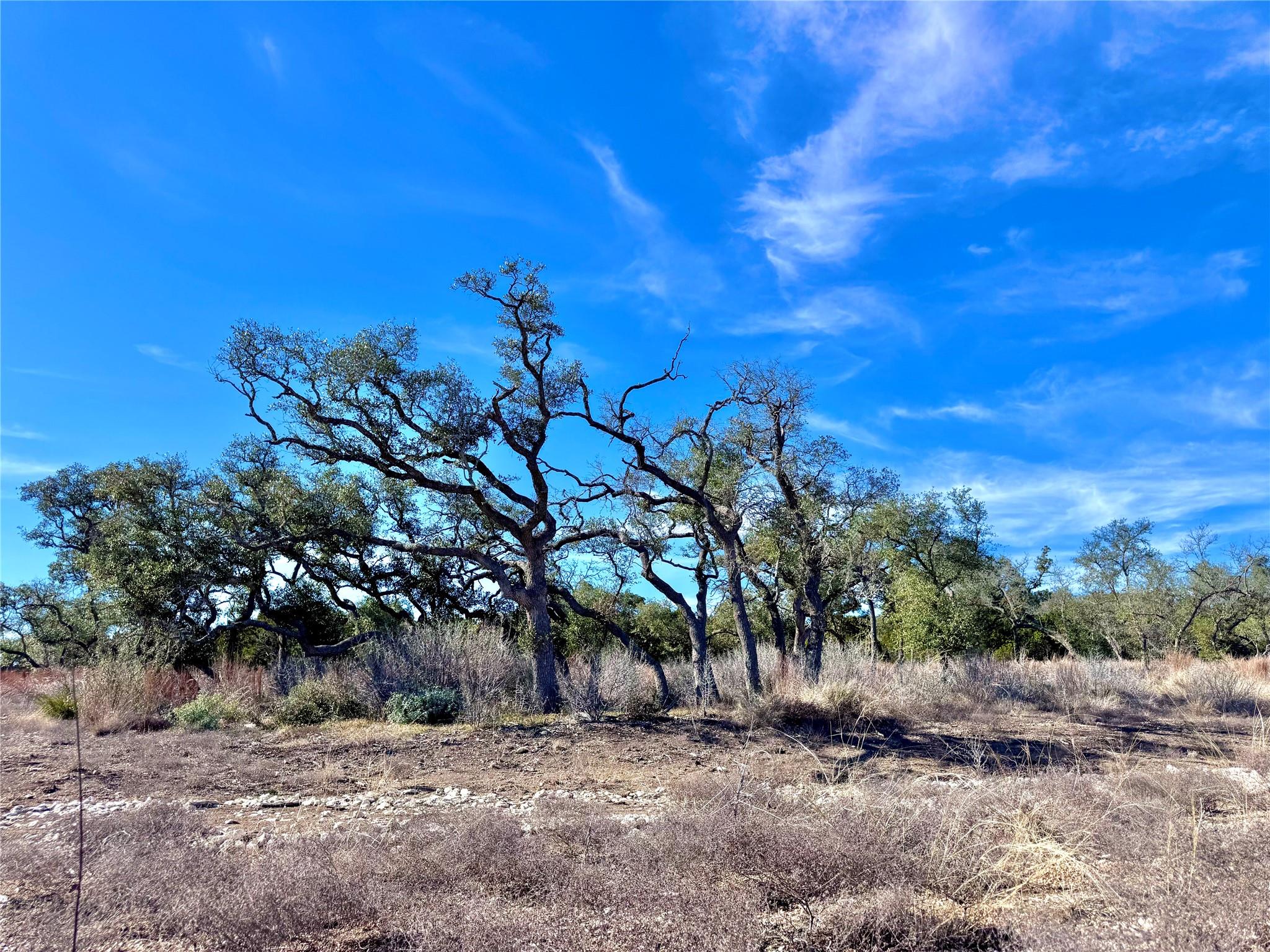 TBD tract 91 Citadel Dr, Center Point, TX 78010 — photo 1