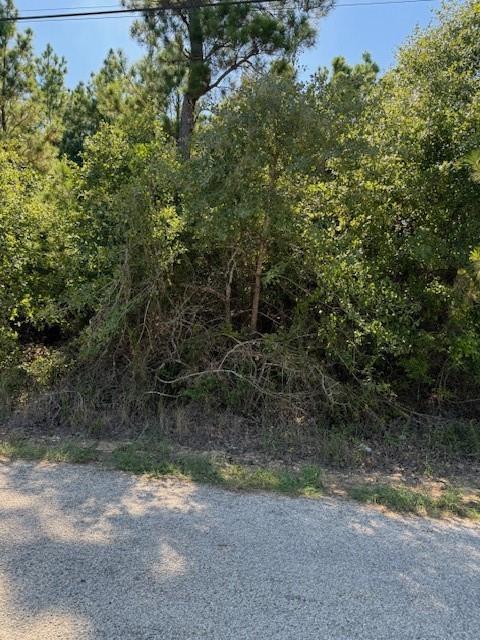 Lot 1355 N Kaupo Dr, Bastrop, TX 78602 — photo 1