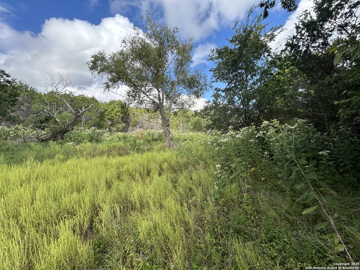 135 Marshall, Kerrville, TX 78028 — photo 1