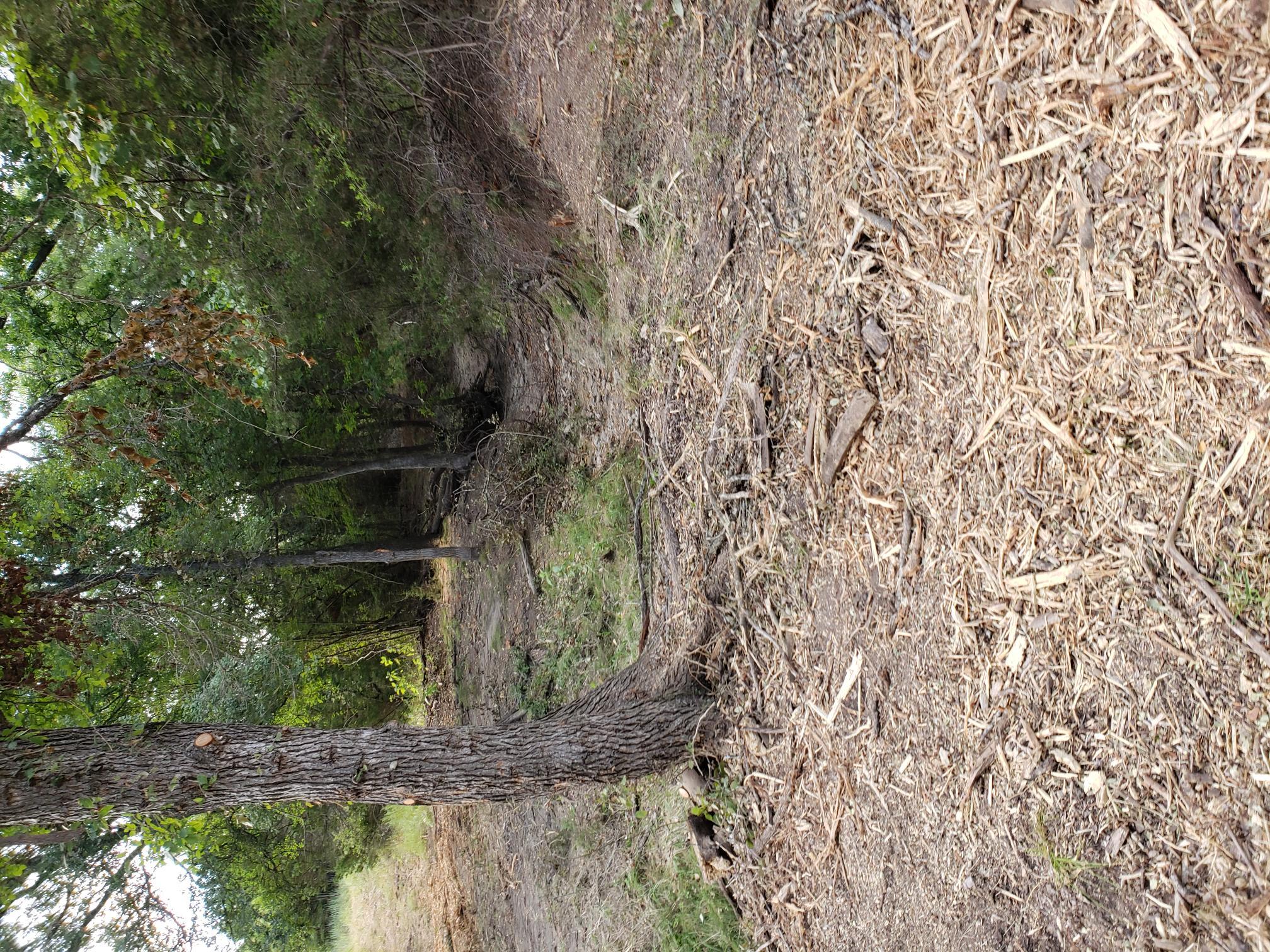 Lot 44 County Road 3640 None, Lampasas, TX 76522 — photo 1