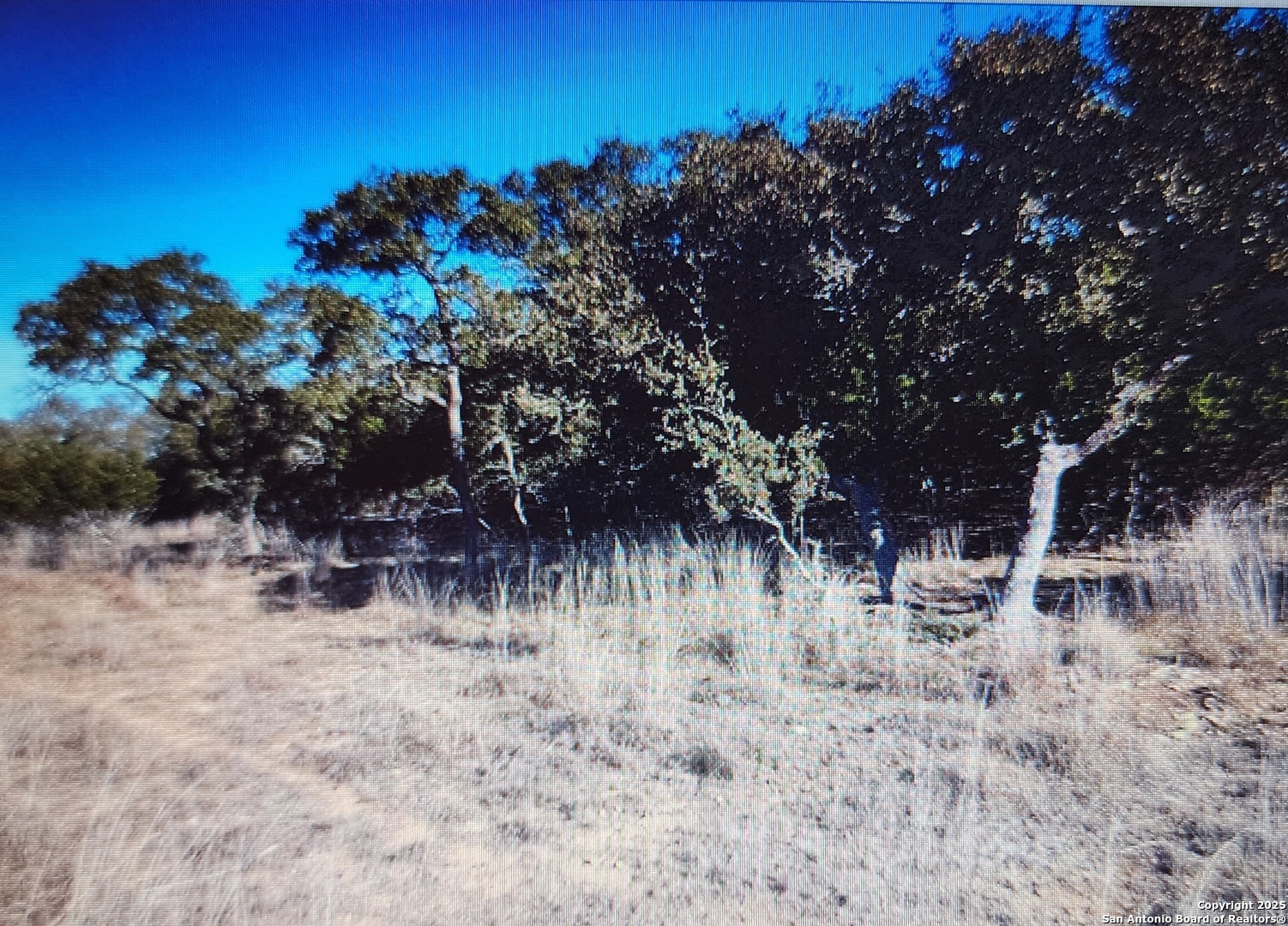 711 John Price, Blanco, TX 78606 — photo 1