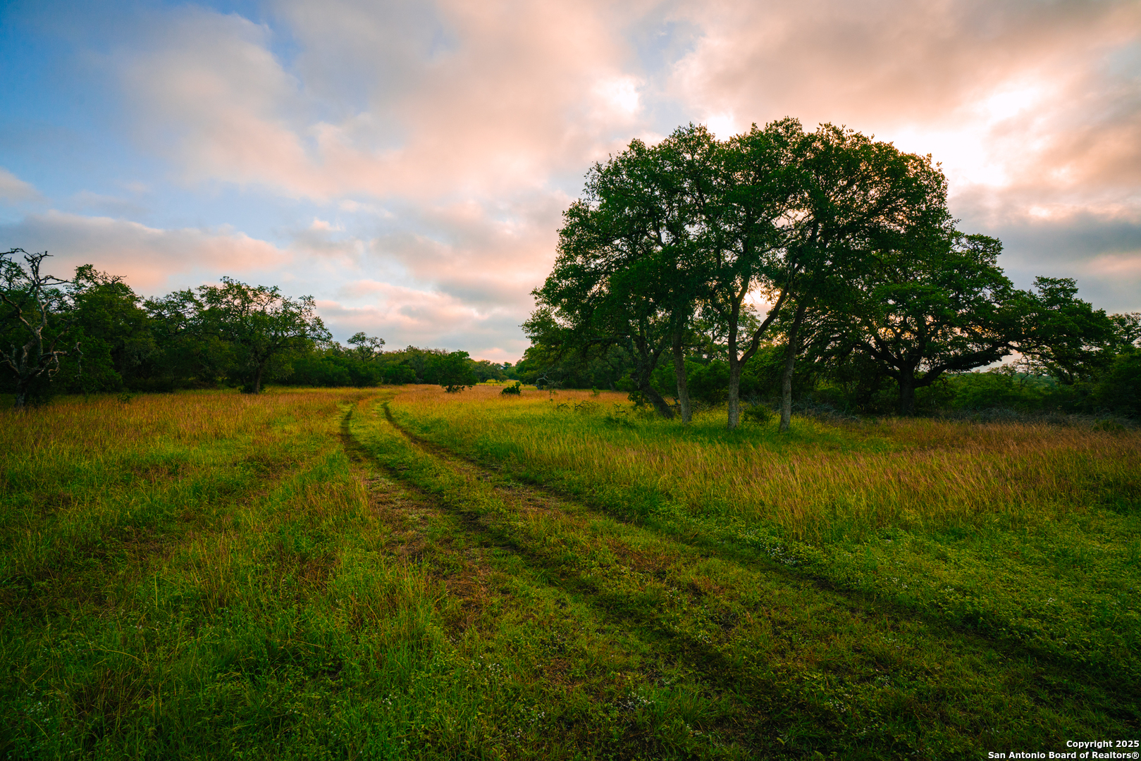000 Rolling hill, Spring Branch, TX 78070 — photo 1