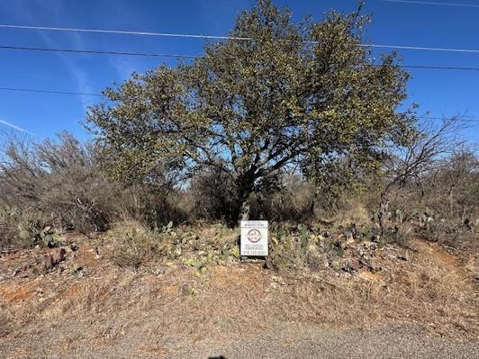 0  TBD Cedar Dr, Granite Shoals, TX 78654 — photo 1
