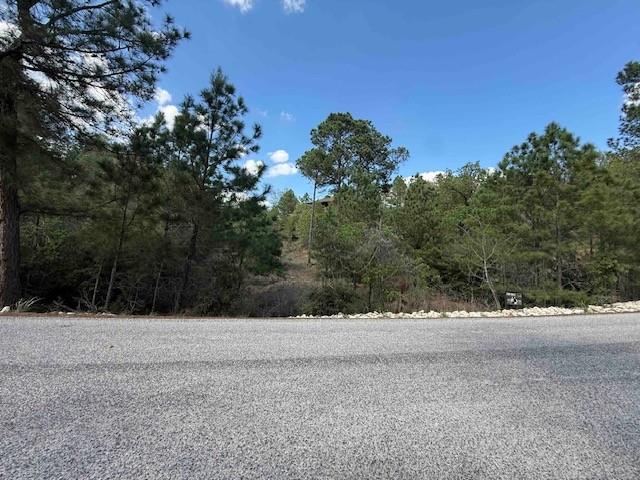 Lot 1198  Wahane Ln, Bastrop, TX 78602 — photo 1