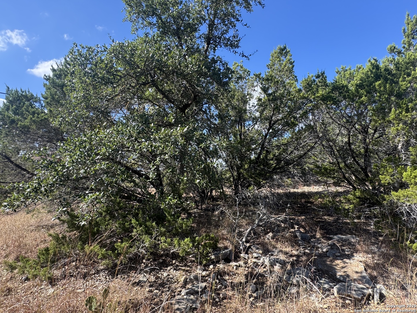217 Breeze Pt, Fischer, TX 78623 — photo 1