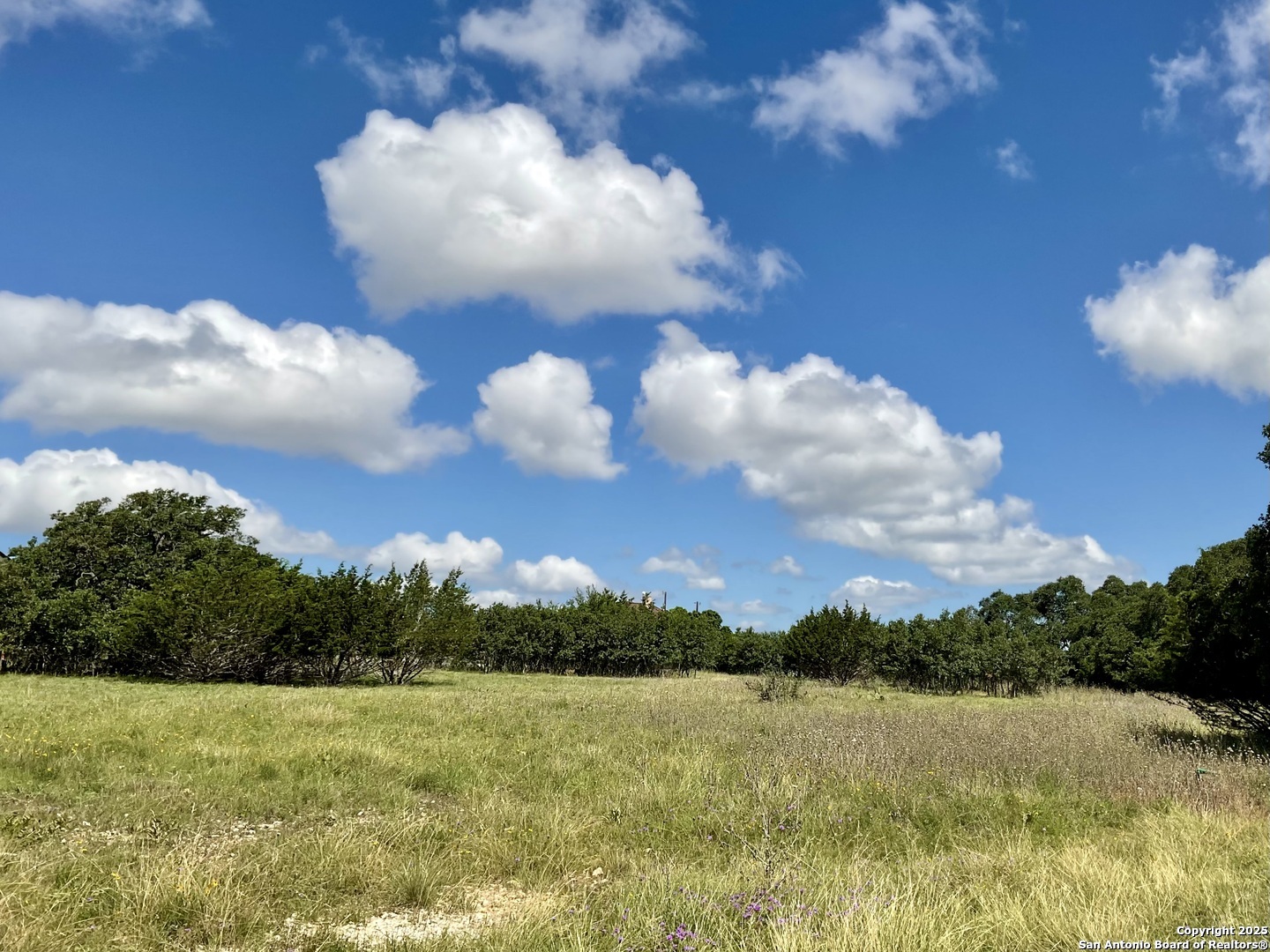 105 Steve Baker, Blanco, TX 78606 — photo 1
