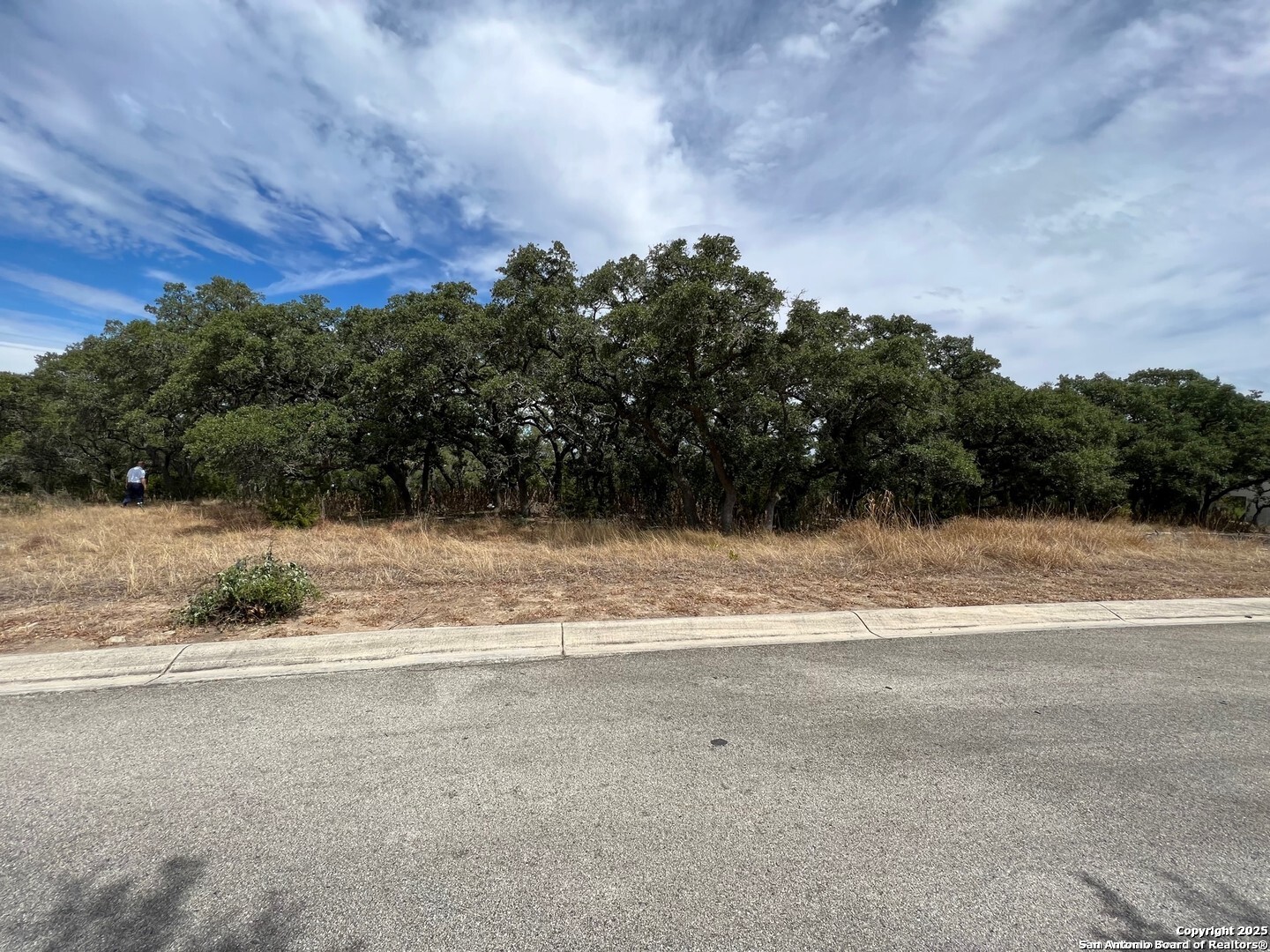 LOT 29 Alberi, Boerne, TX 78006 — photo 1