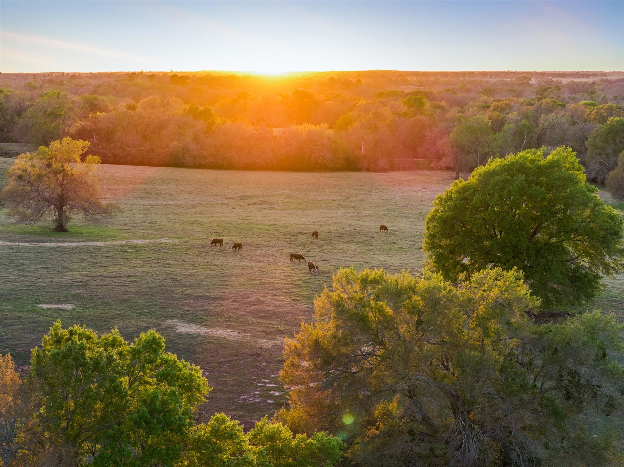 1580 County Road 377 None, Caldwell, TX 77836 — photo 1