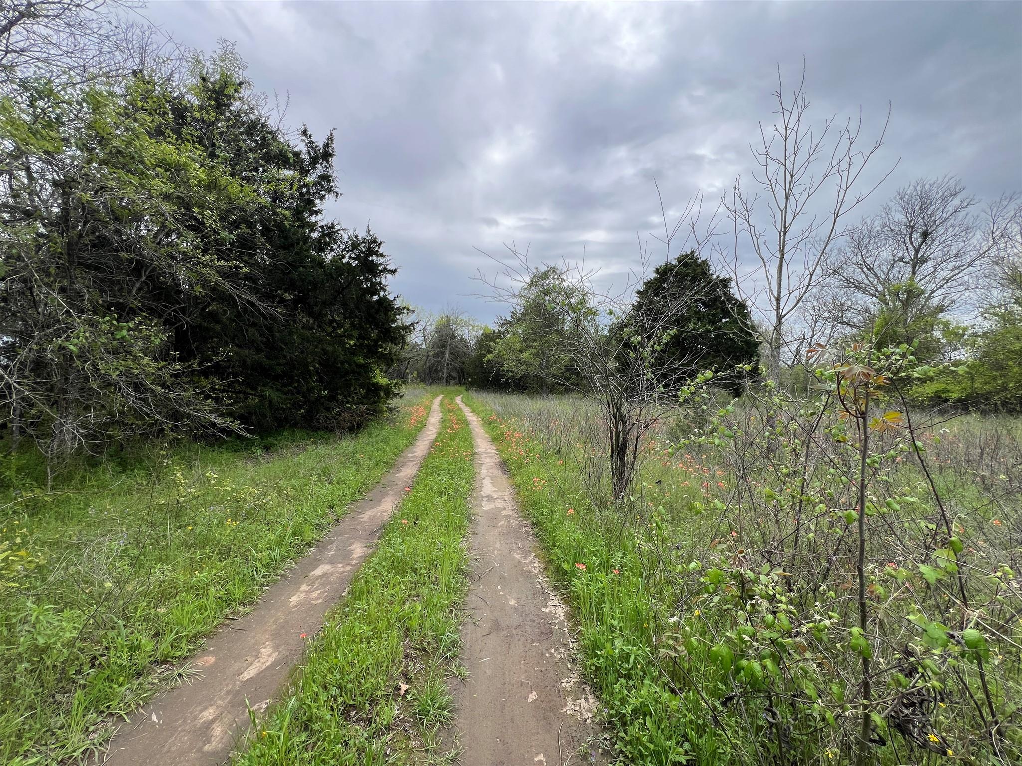 0B FM 86 None, Red Rock, TX 78662 — photo 1