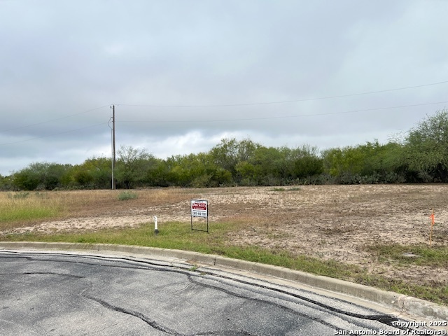 2209 Vista Bonita, Three Rivers, TX 78071 — photo 1