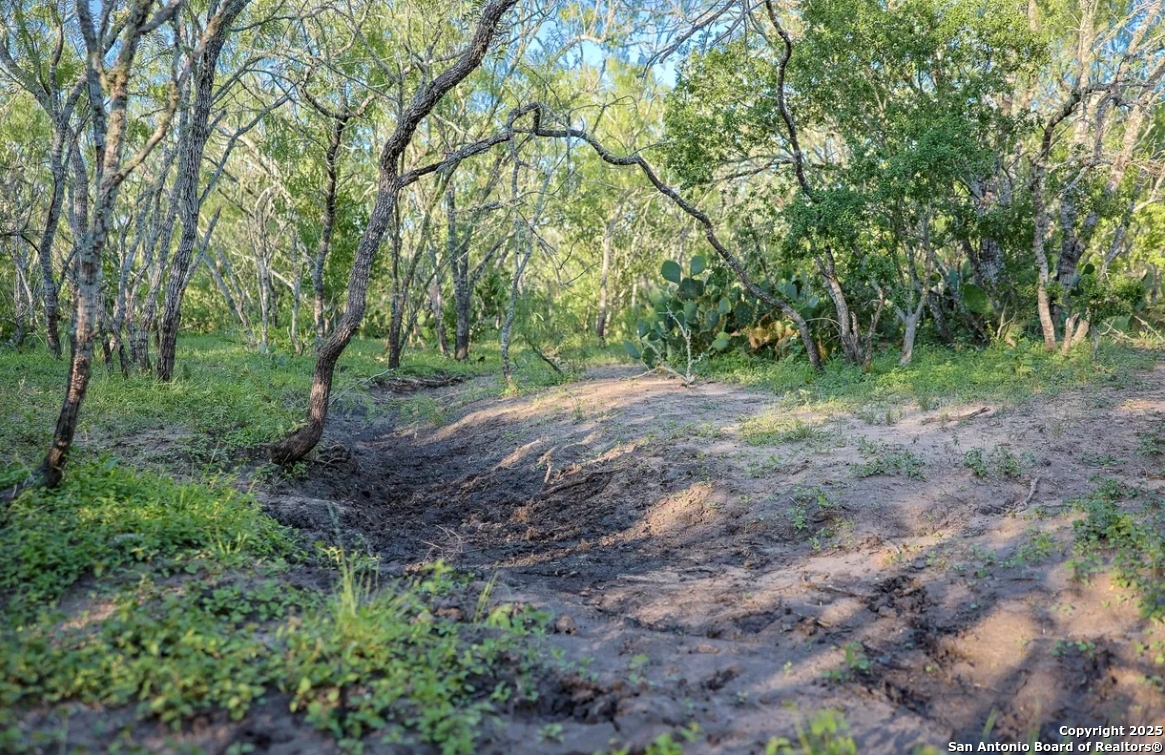 000 County Line Rd # 120, Beeville, TX 78102 — photo 1