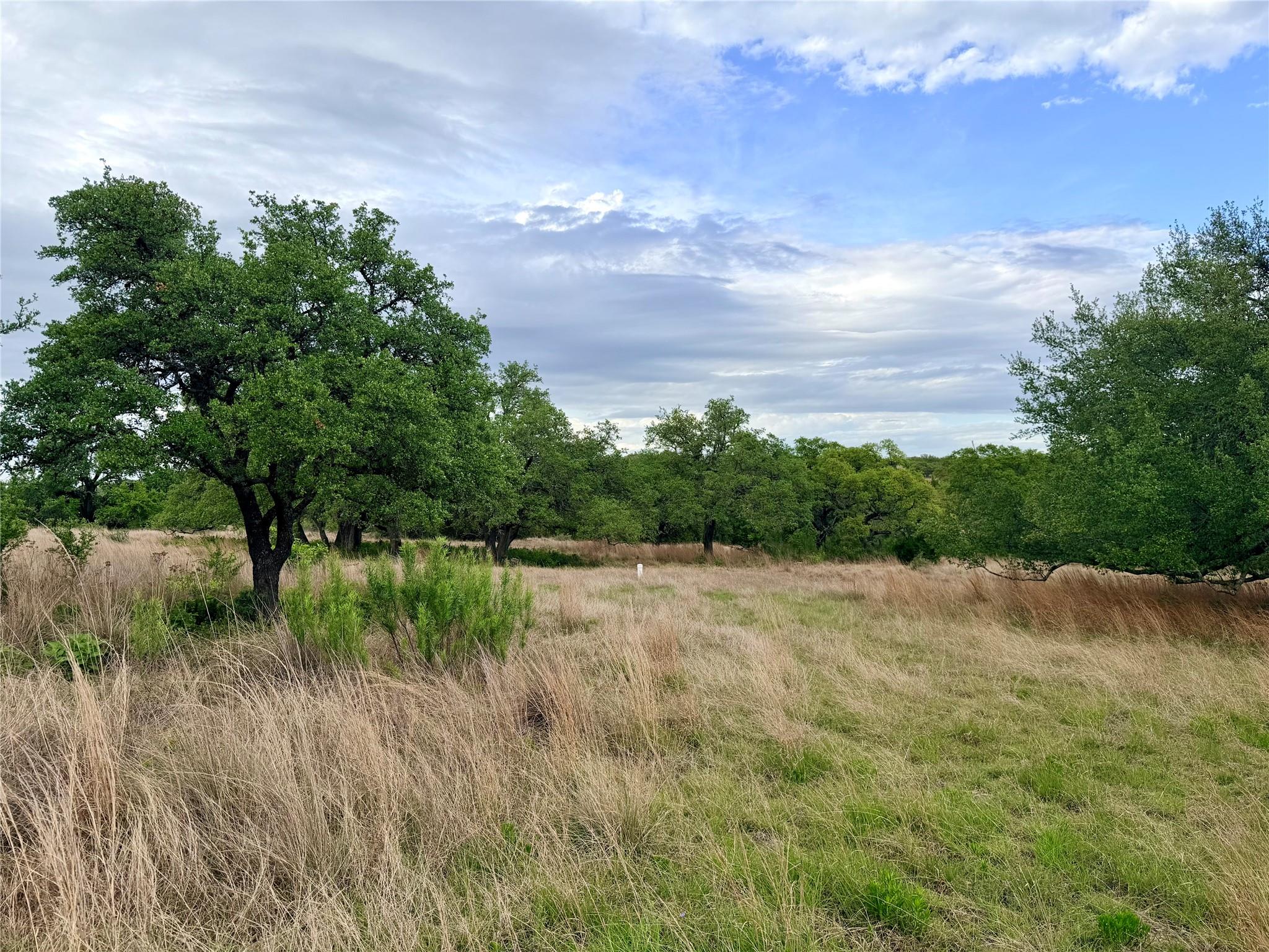 768 N Walnut Springs Rd, Johnson City, TX 78636 — photo 1