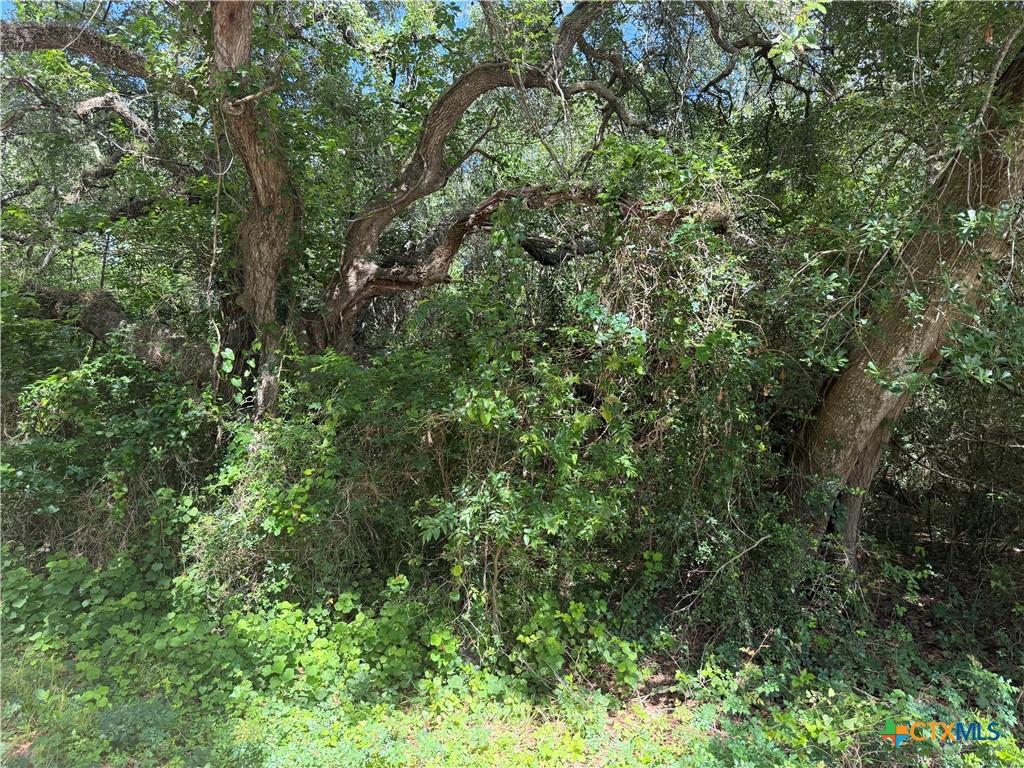 Lot 529 Grand Oak Street, Palacios, TX 77465 — photo 1
