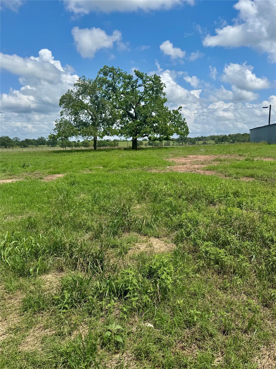 TBD Lot 10  Cardinal Rd, Rosanky, TX 78953 — photo 1