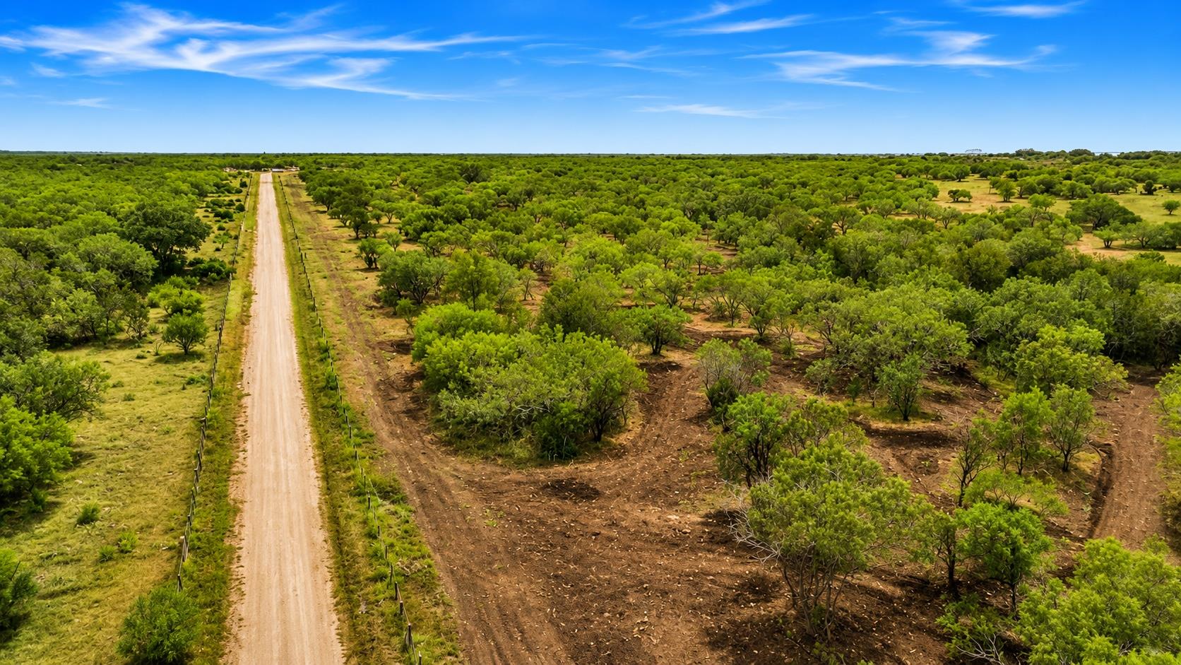 TBD  CR 171 None, Nixon, TX 78140 — photo 1