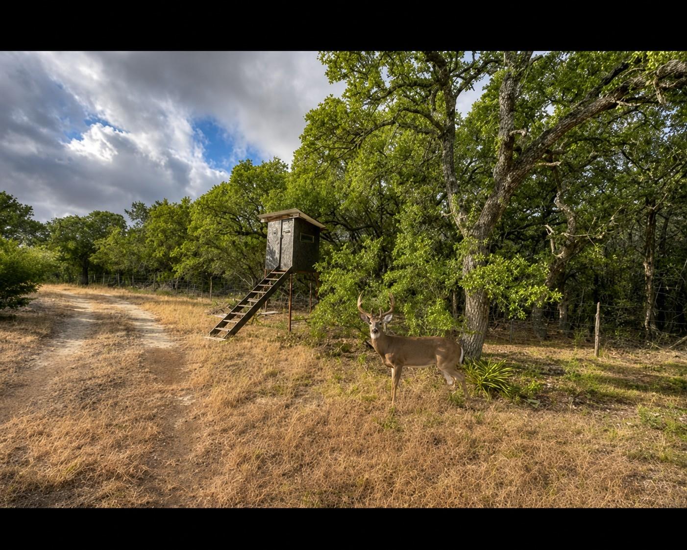 149  County Road 103 None, Lampasas, TX 76550 — photo 1