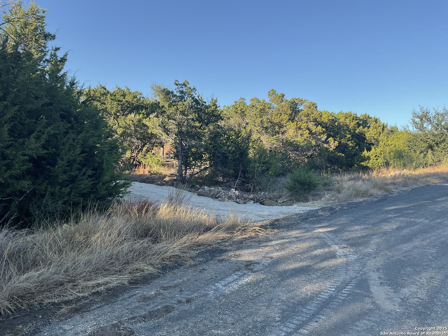 113 Champion Way, Spring Branch, TX 78070 — photo 1